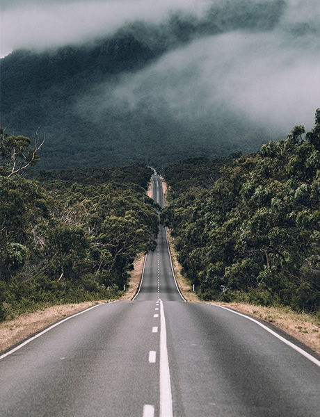 allmineral weltweit Straße, die durch grüne Wälder Australiens führt